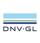 YSDNV-1